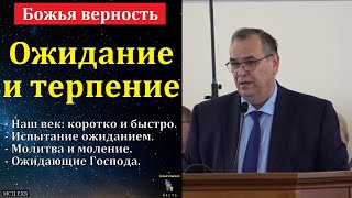 видео:  картинка: