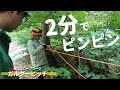 【爆速タープ設営】ガルダーヒッチで木と木の間にロープを張る