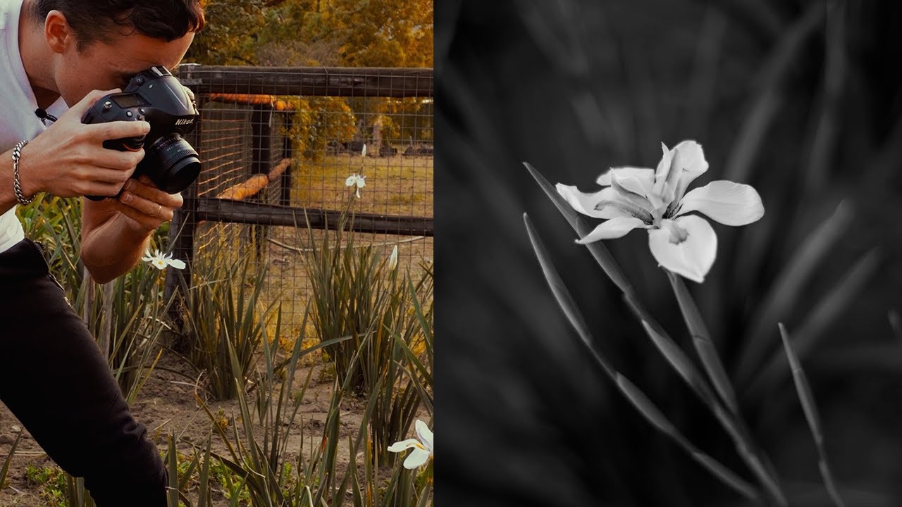 One Quick Tip to Improve Your Composition TODAY with Photographer Luke Ayers