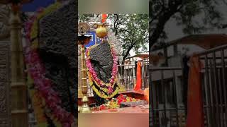 Jai Jai Jai Shani Deva Status | Narendra Chanchal #shorts