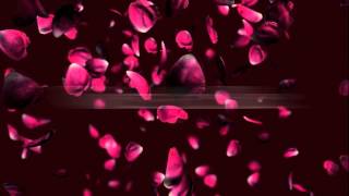 Valentines Video Card with sweet Message for your Special Someone screenshot 5