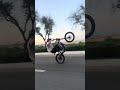 What bike do I get next? #surron #wheelie #bikelife #socal #viral #emoto #ebike #moto #sunset