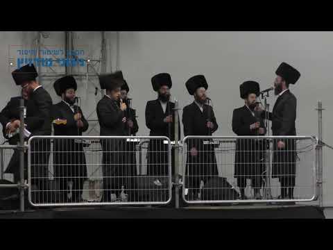 עו"ד דוד זעירא | ניגון כי אנו עמך לרבינו ה"אמרי שאול" זצוק"ל - משמחת השבע ברכות במודז'יץ