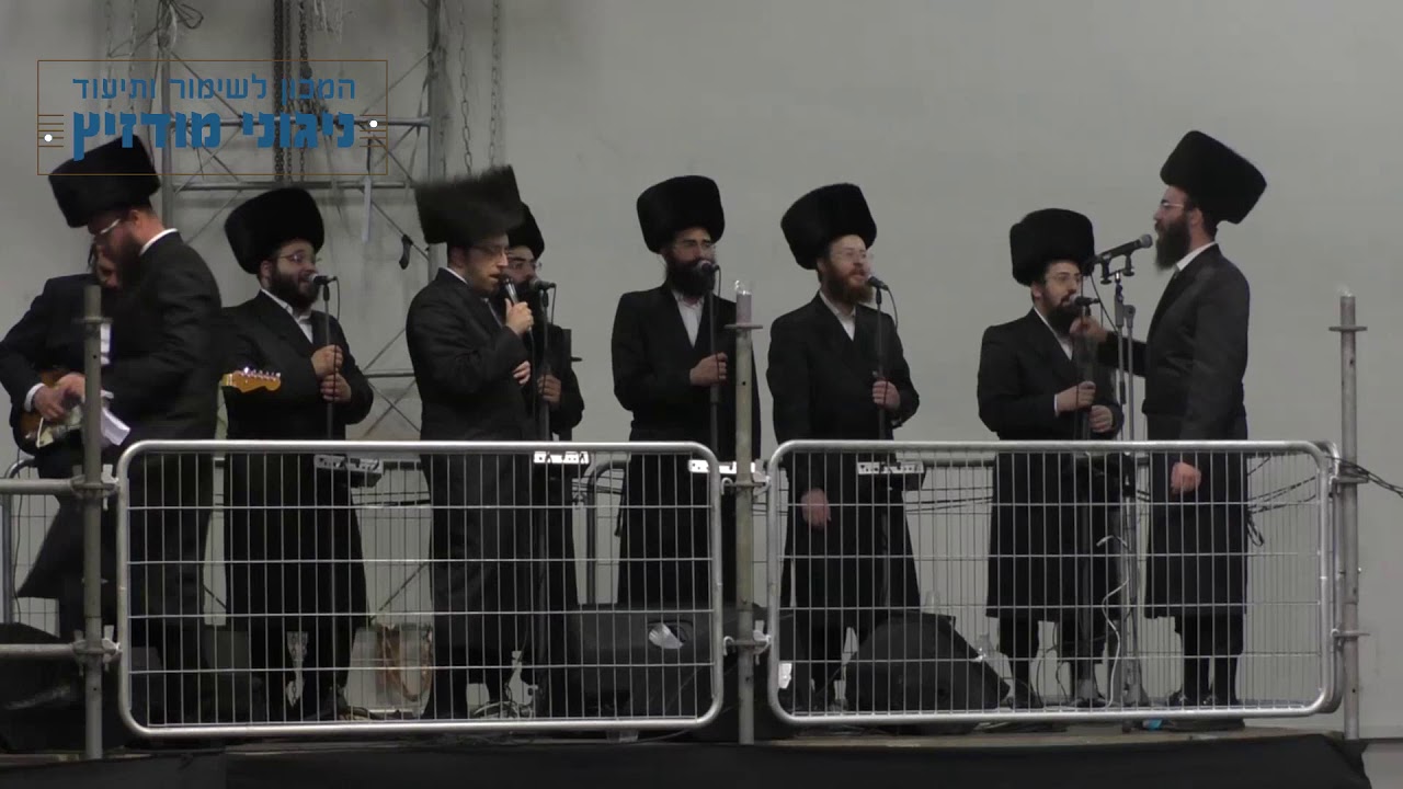 עו"ד דוד זעירא | ניגון כי אנו עמך לרבינו ה"אמרי שאול" זצוק"ל - משמחת השבע ברכות במודז'יץ