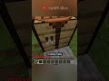 Minecraft Tapi Tidak Boleh Menginjak Grass Block