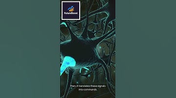 WOW ! Neuralink Brain Chip in a Human !