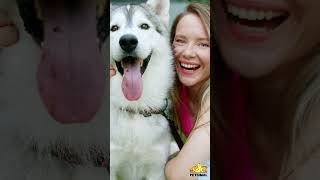 Cute & Funny Pets: Ultimate Compilation of Adorable Cats & Dogs Playing #shorts #dogs #funnyanimals