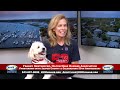 WHHI NEWS | Franny Gerthoffer: Jasper County / 50th Anniversary! | Hilton Head Humane | WHHITV