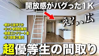 お部屋探検【変わった間取り系物件】想像以上に開放的で機能的な1K間取りその全容を徹底調査