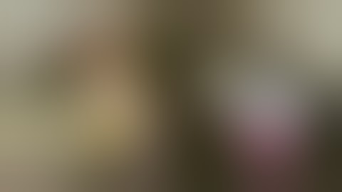 The MM8BDM Desert Bus Experience