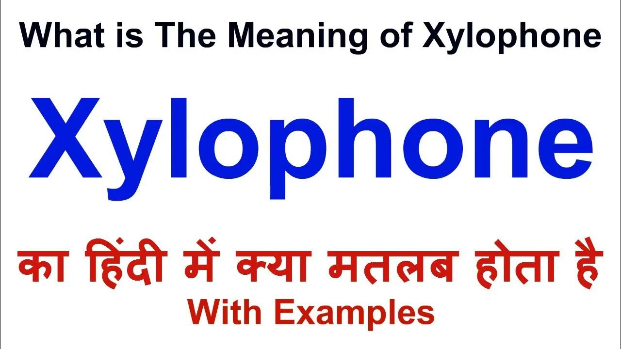 xylophone essay in hindi