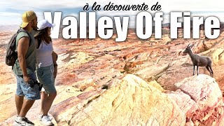 Coup de ❤️ Roadtrip USA : Au coeur de Valley Of Fire 🔥 | Vlog Côte Ouest Etats-Unis