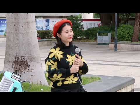 粤语歌曲-情非虚构