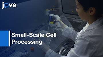 Automated Counterflow Centrifugal System: Small-Scale Cell Processing