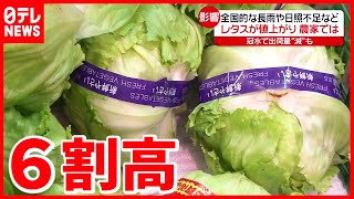 【野菜】長雨や日照不足  レタスやトマトが価格高騰