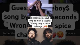 Famous Did you get the right answer? #suicideboys #ruby #scrim #g59 #guessthesong Net Worth