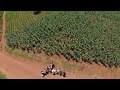 Drone Footage Unedited From Mitundu Malawi January 18 2025 Drone Footage Unedited From Mitundu Malawi January 18 2025