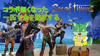 【Sea of Thieves】ソロでお金稼ぎ【枝水アルム / ケモノVtuber】