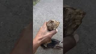 Quick tip on hide..