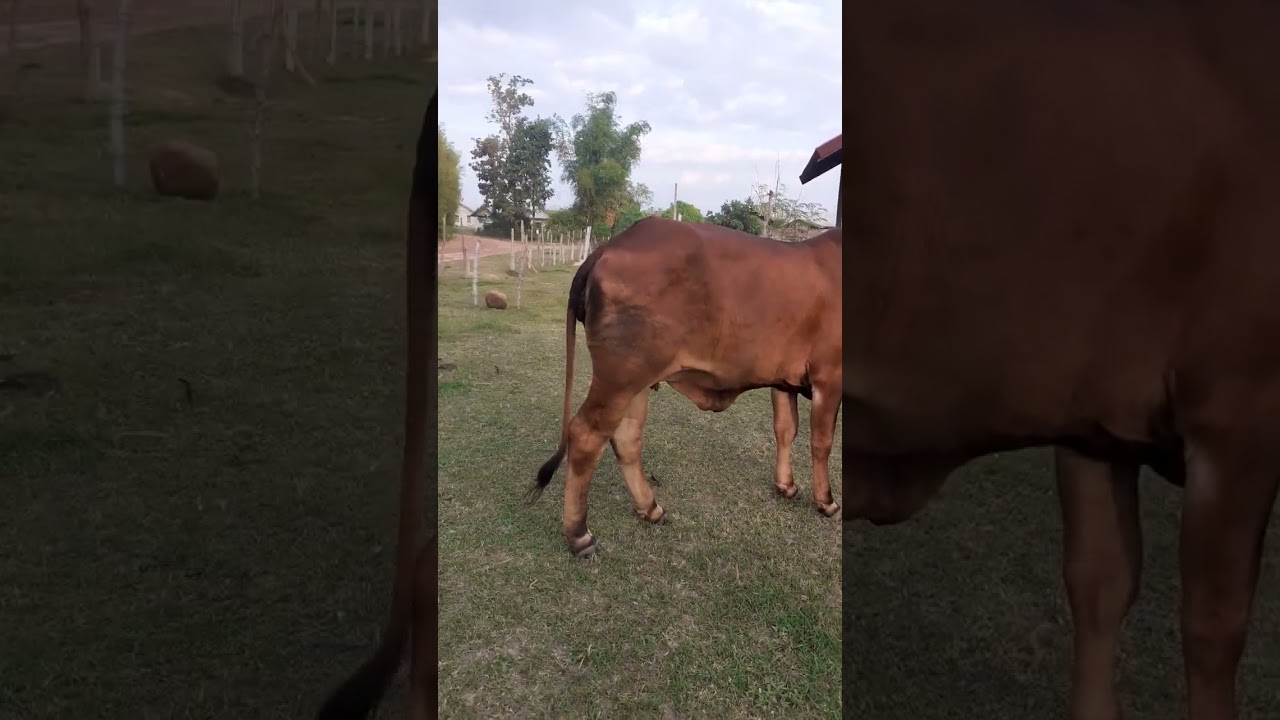 12 ธันวาคม ค.ศ. 2022