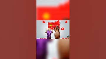 bà và capybara bơm bóng bay mừng ngày quốc khánh 2/9 và cái kết #capybara #vuive #giaitri #quockhanh