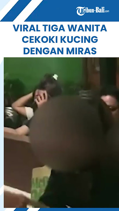 Viral Tiga Wanita Cekoki Kucing dengan Miras, Kini Menangis Minta Maaf Tak Ulangi Perbuatannya