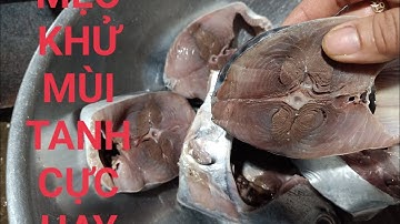 Cách Khử Mùi Tanh Của Cá 🐟 Biển Cực Kỳ Hay Mà Ít Ai Biết Đến/Mẹo Hay# Nghề Hạ Bạc