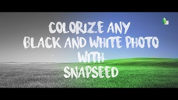 Convert Any Black And White Image To Color Using Your Smartphone And Snapseed !