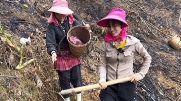 Một Buổi Đi Trồng Dưa Cùng Em Ly Mẹ Đơn Thân | Cói Lalin