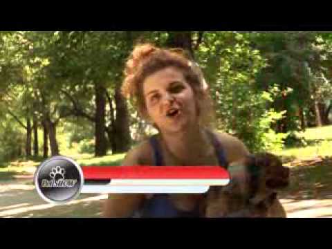 Video: Puppy Pyoderma - Infeksioni I Lëkurës Në Qenush