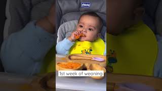 One week baby food #babyfirstfood #babygirl #babyweaning #blw #shortsfeed #trending screenshot 4