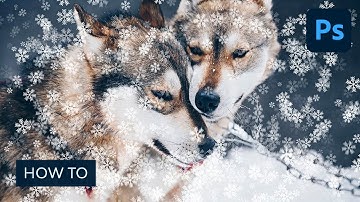 How to Create a Snowflake Brush in Photoshop