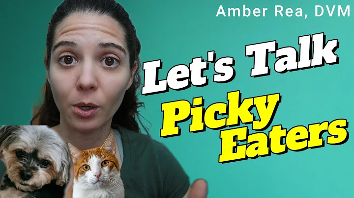 Is your pet a picky eater?