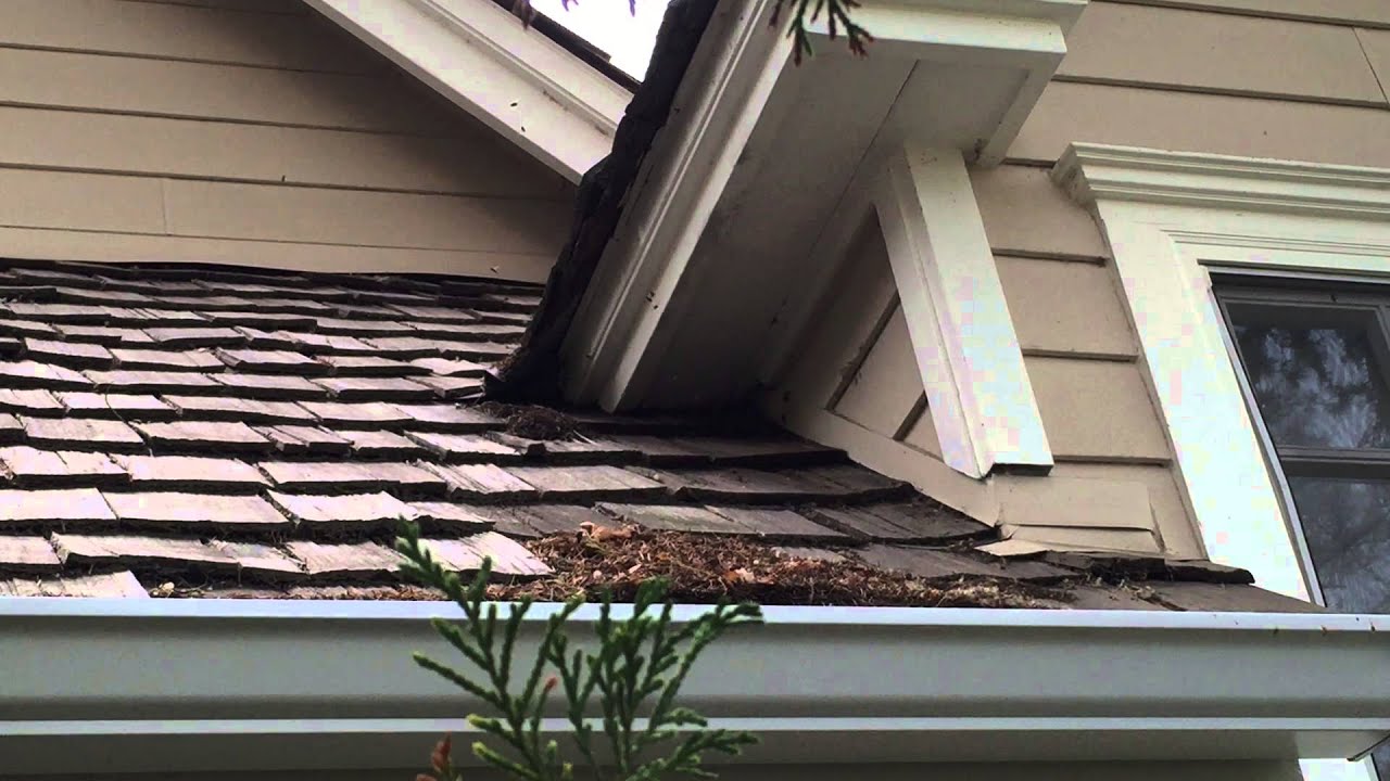 bee control orange county