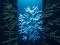 Crystals Growing in Real Time — Time Lapse Macro 8K #asmr #satisfying #hypnotic #aiart #physicsfail