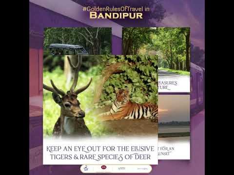 Golden Chariot- Bandipur