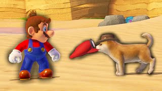 The Mario Odyssey speedrun where you pet dogs