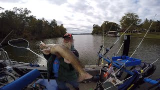 Fall Flatheads Tips