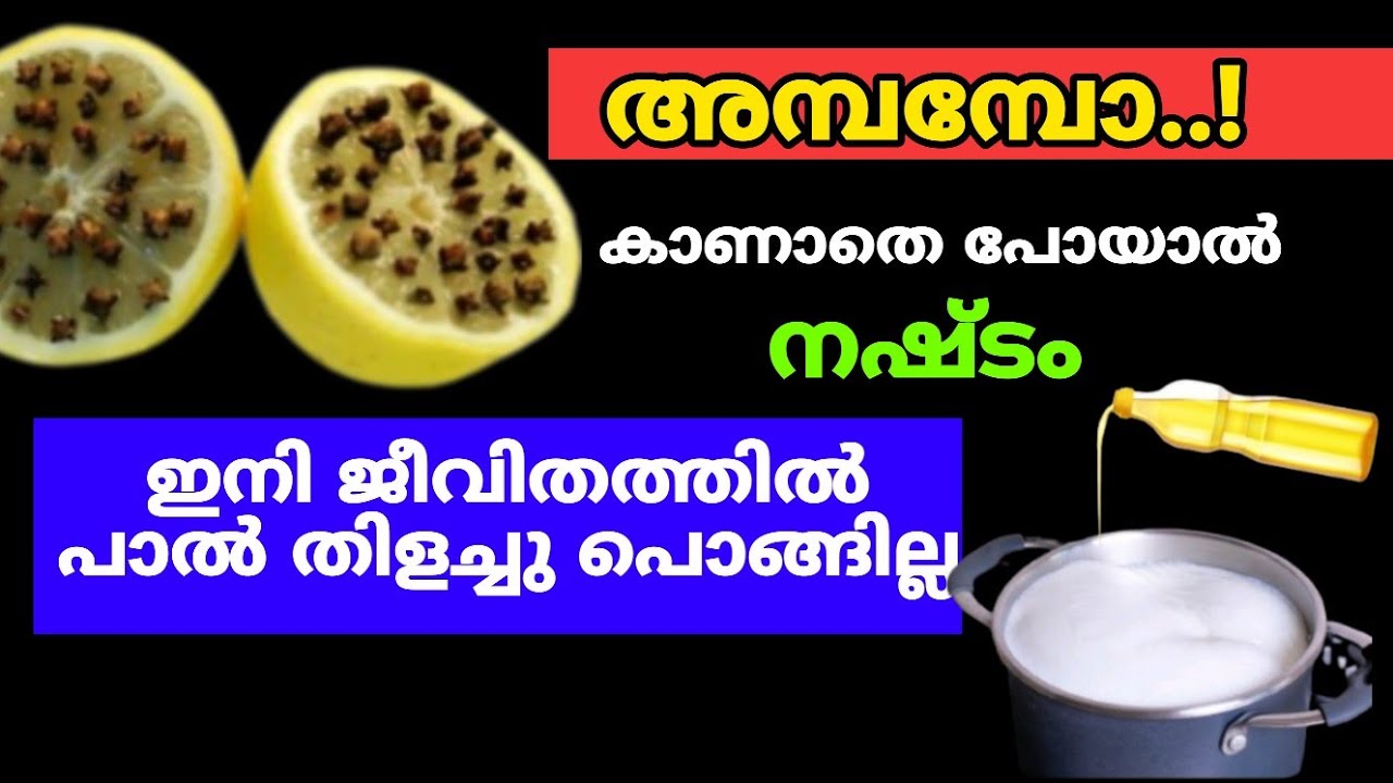 നിങ്ങൾ കണ്ടിട്ടില്ലാത്ത കിടിലൻ tips🥵viral kitchen tipscleaning tips