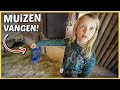 Er zitten muizen in ons konijnenverblijf  bellinga vlog 2628