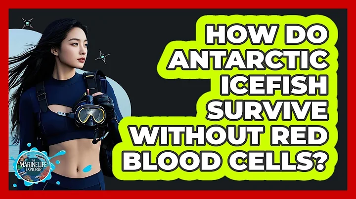 How Do Antarctic Icefish Survive Without Red Blood Cells? - The Marine Life Explorer