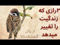 داستان های فارسی:رازهایی برای خوشبختی از زبان گنجشک دانا#داستانی#داستان_های_فارسی#سه_پند_گنجشک