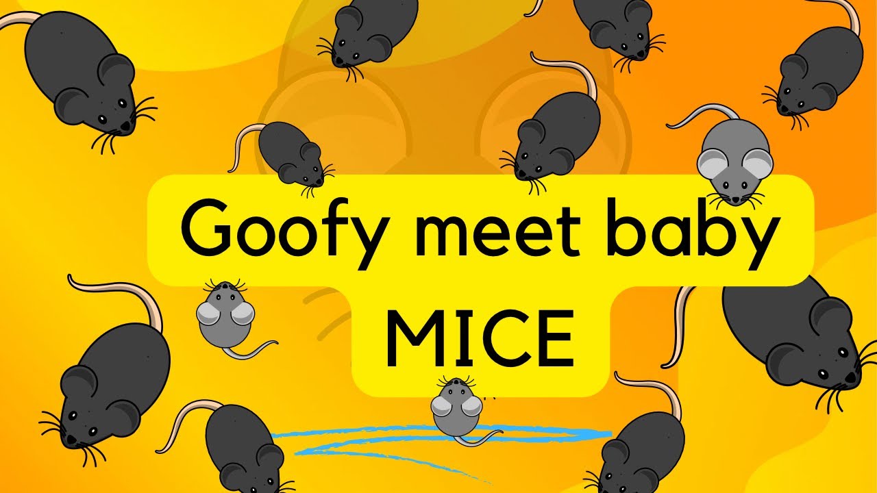 🐀 goofy Meet Baby Mice" YouTube