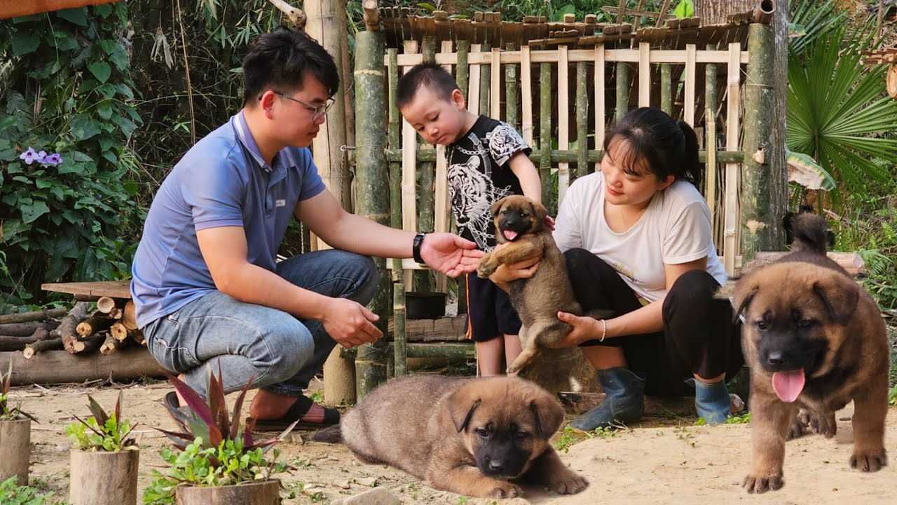Make a Bamboo House for the Puppy and Cook with Your Lover