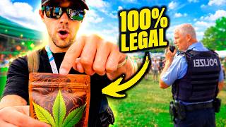 Public Consumption, Clubs and Cultivation in Germany (Report)