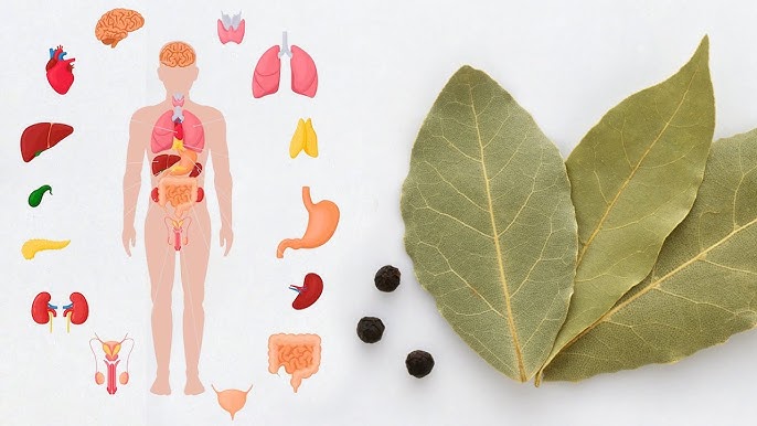 Jerking off uning Dik uning ichki kiyim Yosh qizlarning eng chiroyli jinsiy aloqasi