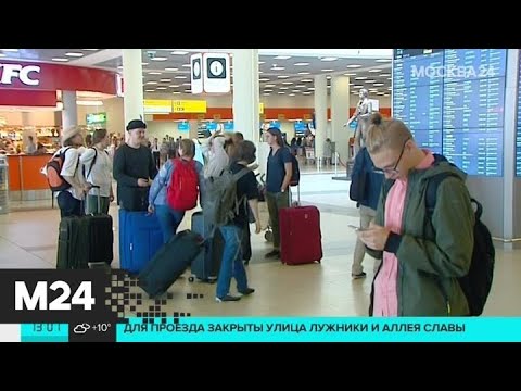 В столичных аэропортах задержаны или отменены более 30 рейсов - Москва 24 москва сити