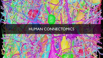 Human Connectomics