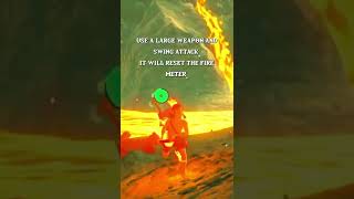 When You Don't Have The Flamebreaker Set In Legend Of Zelda