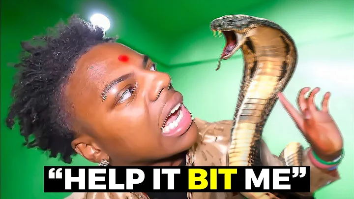 When Streamers Get Attacked By Animals!